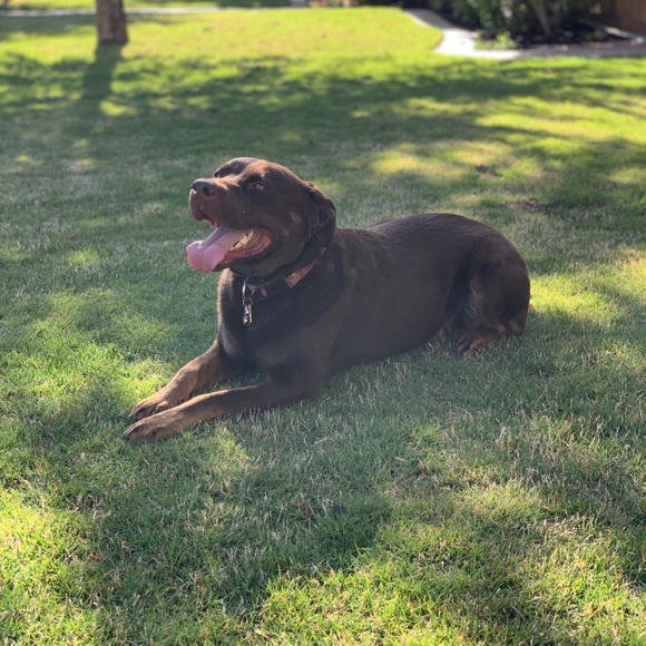 Meet your Posher, Josh - Picture 1 of 1